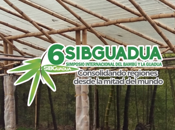 Egresadas de la Escuela de Arquitectura serán ponentes en el VI Simposio Internacional del Bambú y la Guadua en Ecuador