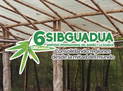 Egresadas de la Escuela de Arquitectura serán ponentes en el VI Simposio Internacional del Bambú y la Guadua en Ecuador