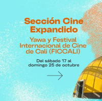 Univalle presenta 5 obras en el FICCali con producciones cinematográficas y de Cine Expandido