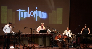 Programación Tamborimba