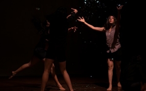 Celebración del Día Internacional de la Danza 2017